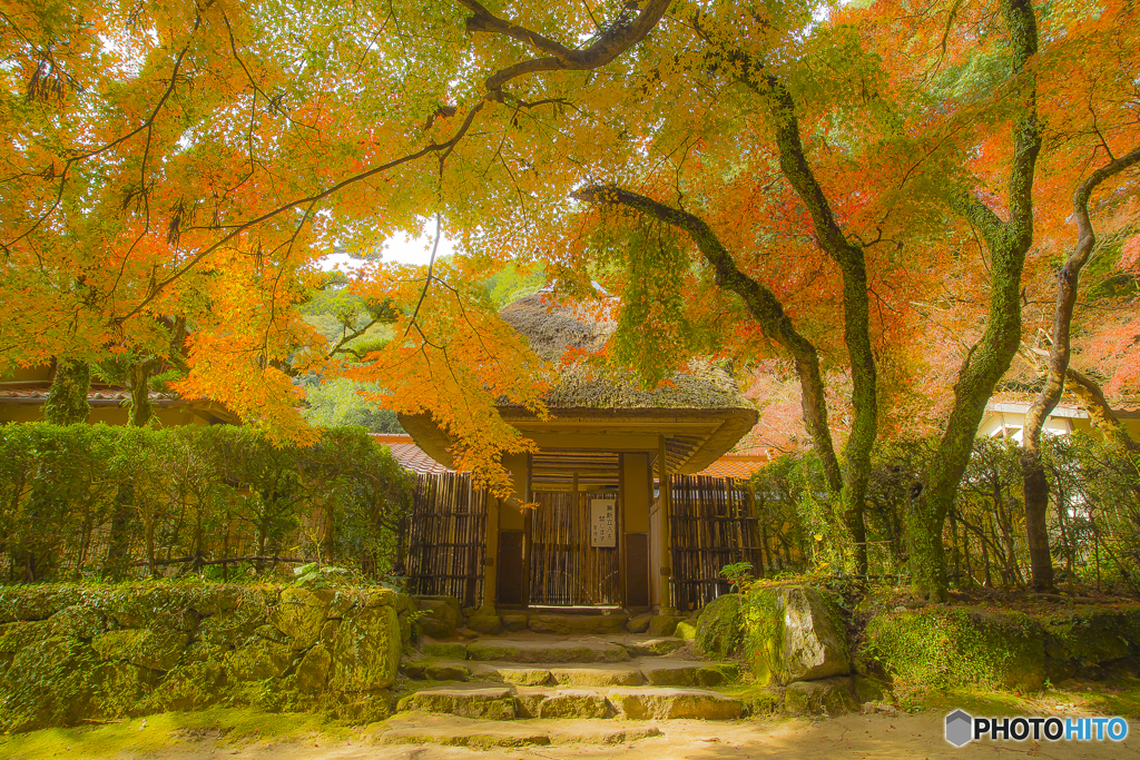 2025年 仁比山神社の紅葉 1