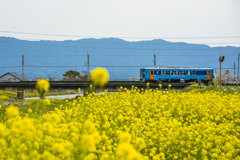 2025年 甘木鉄道 １
