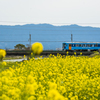 2025年 甘木鉄道 １