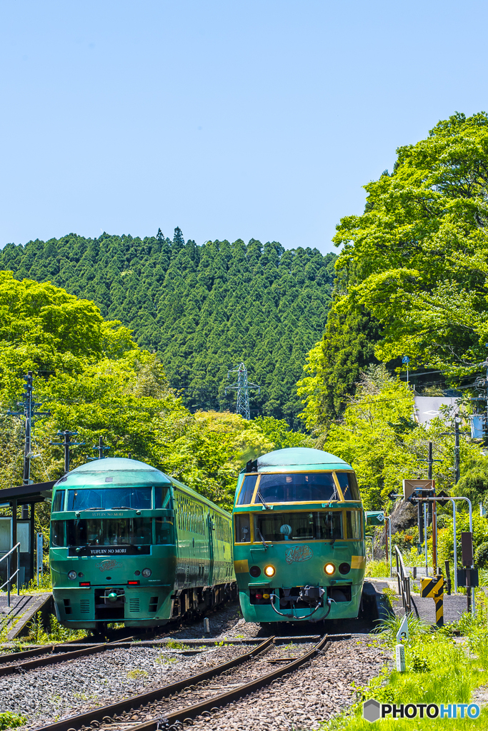 新緑の九大本線 １２