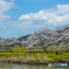 2025年 桜列車（平成筑豊鉄道）３