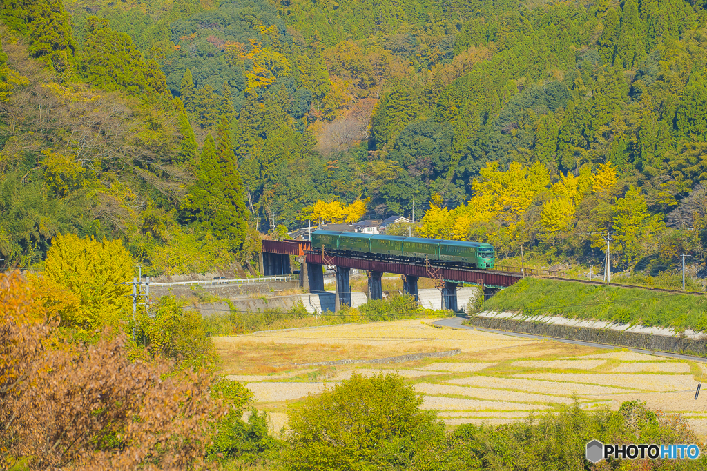 2025年 紅葉の九大線 9