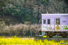 2025年 菜の花列車（平成筑豊） ６