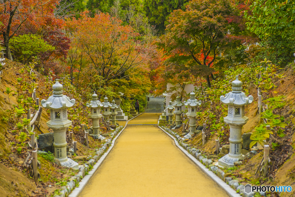 呑山観音寺の紅葉 ４
