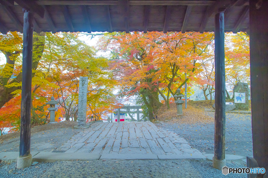 2025年 秋月の紅葉 6