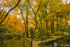 2024年 仁比山神社の紅葉 ８