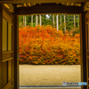 呑山観音寺の紅葉 １