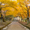 2024年 秋月城跡の紅葉 ２