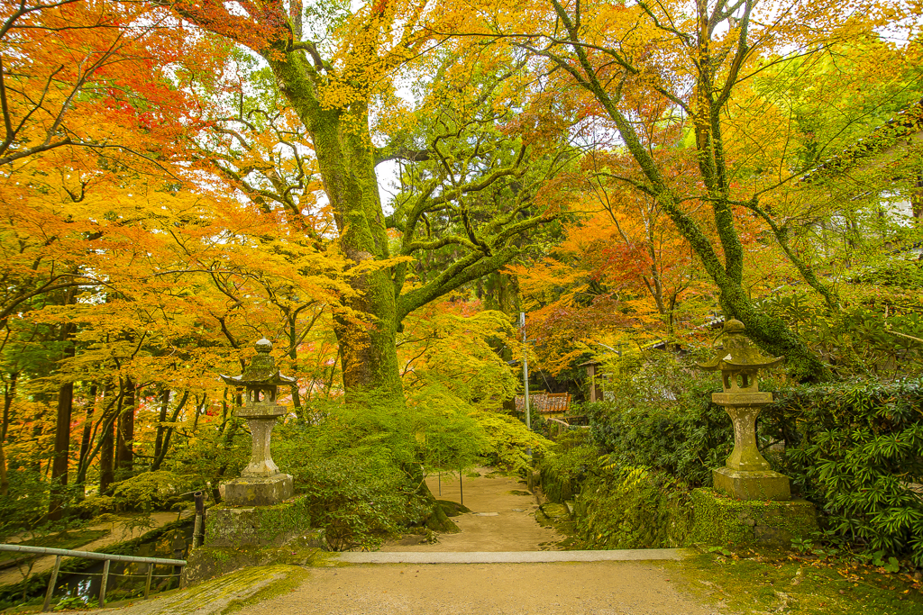 2024年 仁比山神社の紅葉 ２