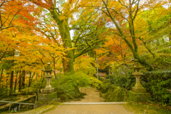 2024年 仁比山神社の紅葉 ２