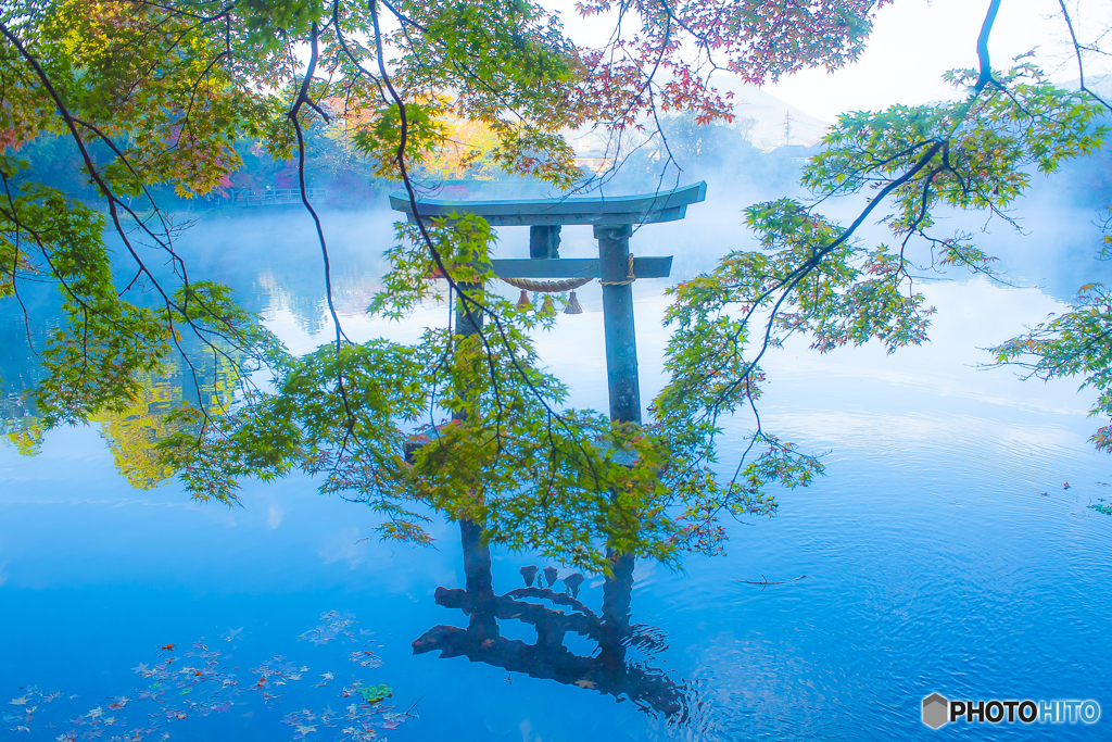 2025年 金鱗湖の紅葉 9