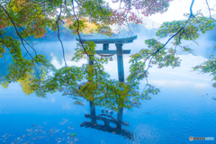 2025年 金鱗湖の紅葉 9