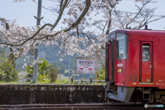 桜列車１２