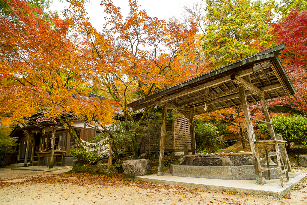 2024年 仁比山神社の紅葉 １