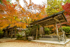 2024年 仁比山神社の紅葉 １
