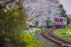 2025年 甘木鉄道 ５
