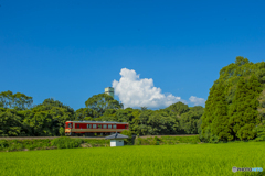 2025年 真夏の甘木鉄道　７