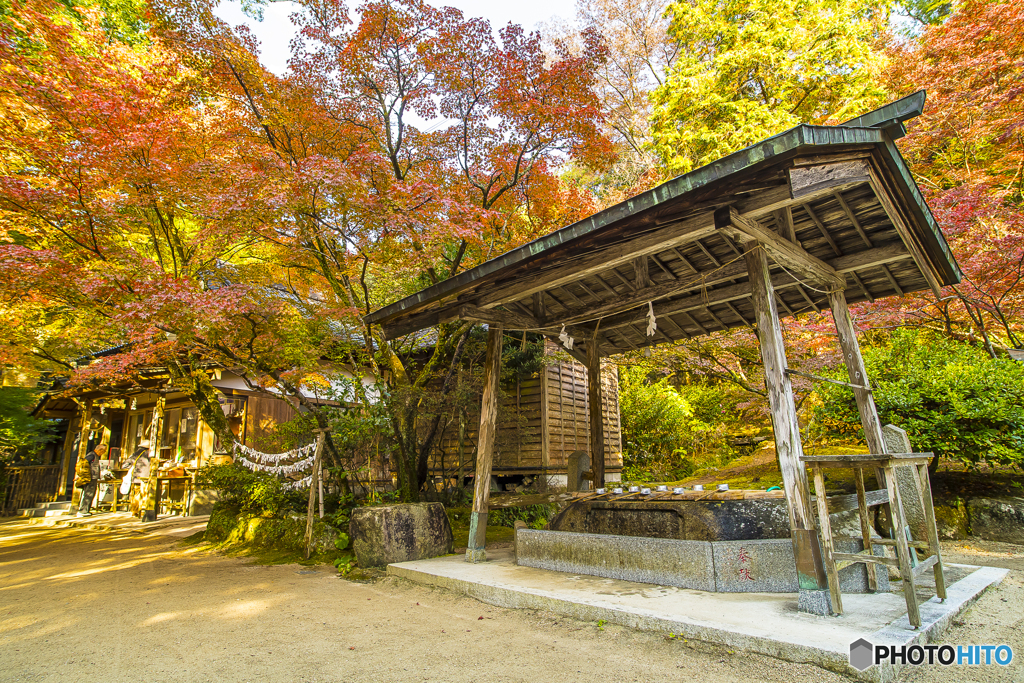 仁比神社の紅葉３