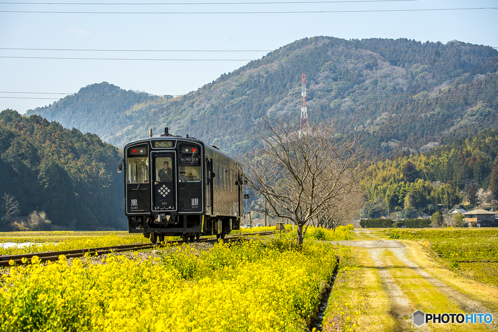 2025年 菜の花列車（平成筑豊） １