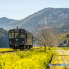 2025年 菜の花列車（平成筑豊） １
