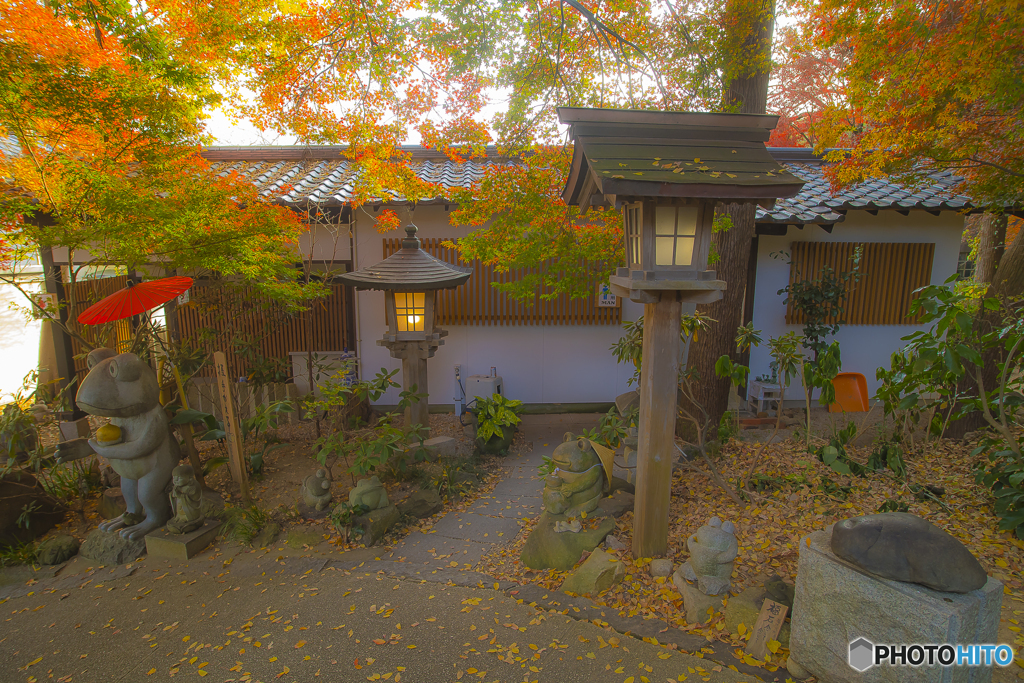 2025年 如意輪寺の紅葉 2