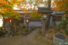 2025年 如意輪寺の紅葉 2