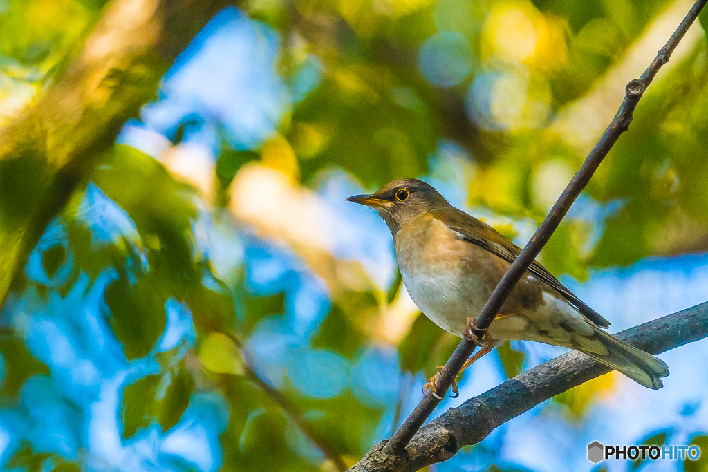 2026年 石橋文化センター散策 9