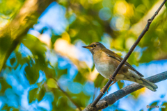 2026年 石橋文化センター散策 9