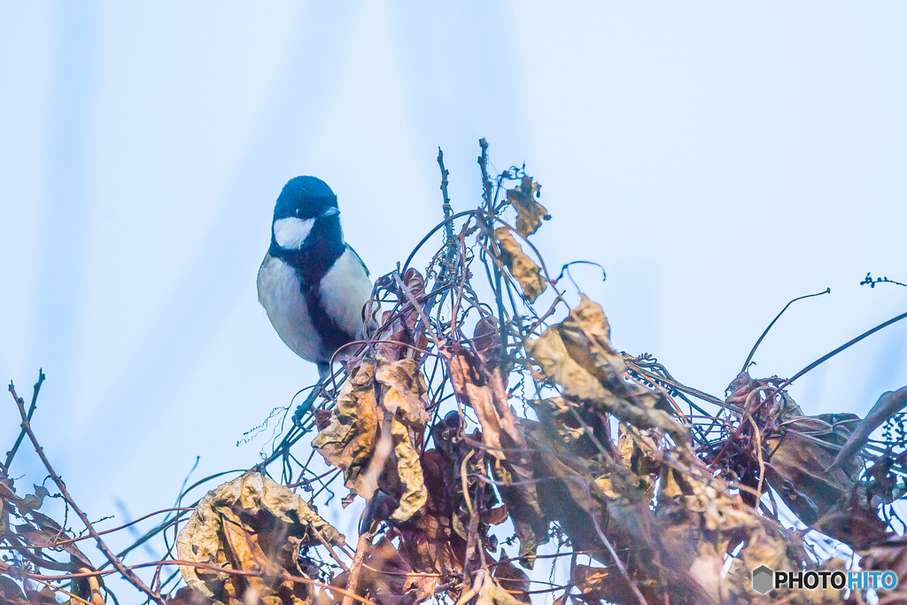 2026年 石橋文化センター散策 8