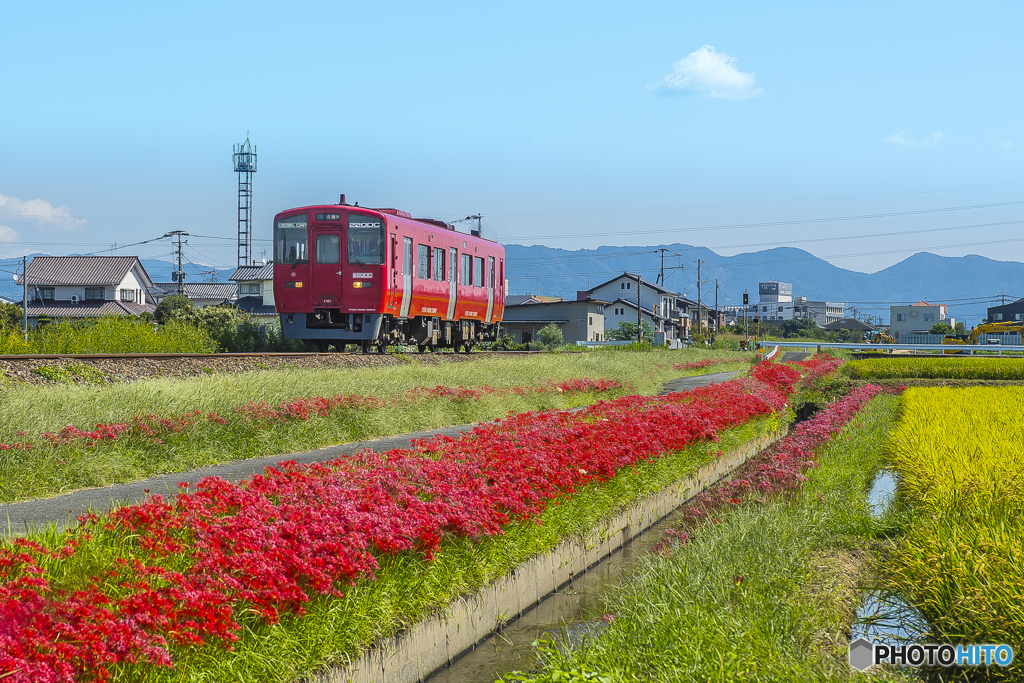 2025年 赤い久大本線 5