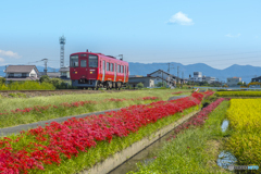 2025年 赤い久大本線 5