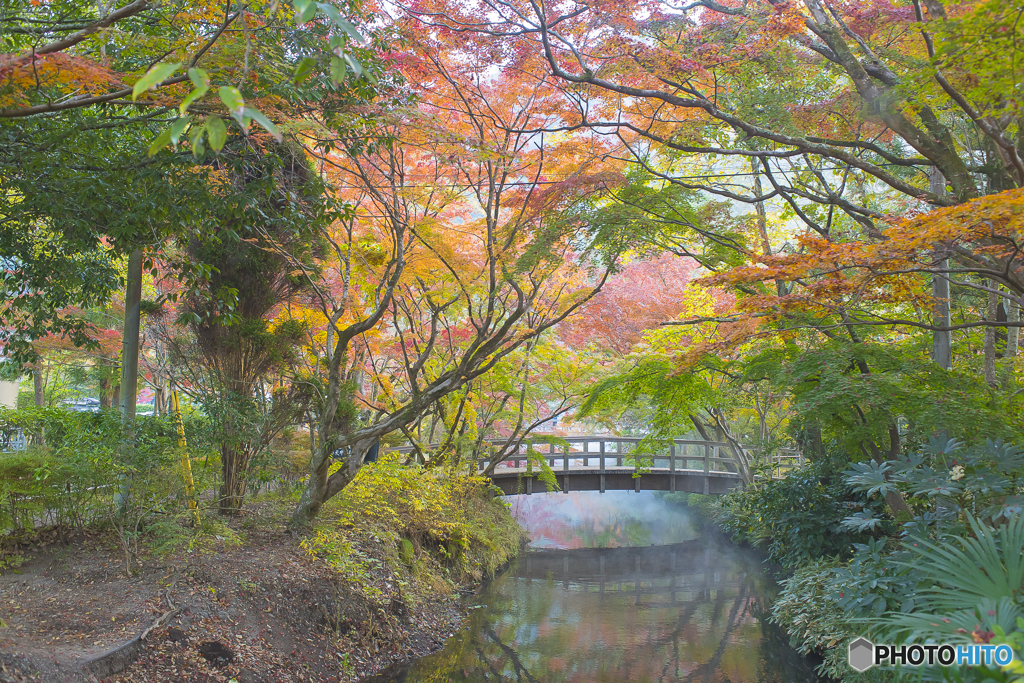 2025年 金鱗湖の紅葉 6