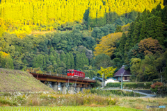 初冬の九大本線 １