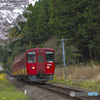 桜列車３