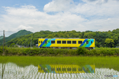 2025年 平成筑豊鉄道 紫陽花列車 ５