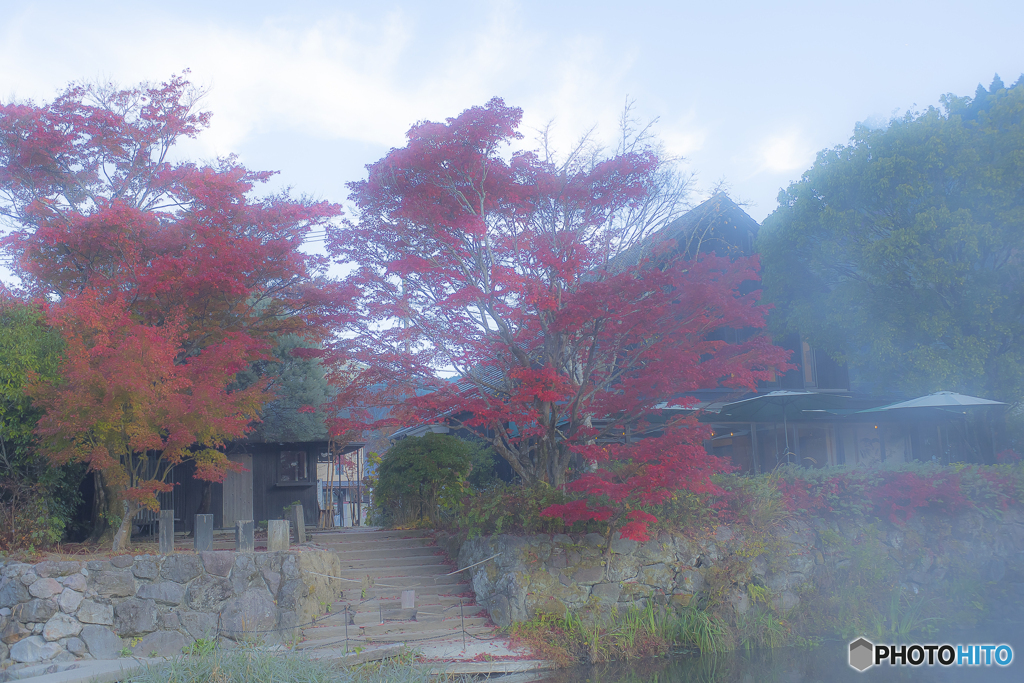 2025年 金鱗湖の紅葉 7