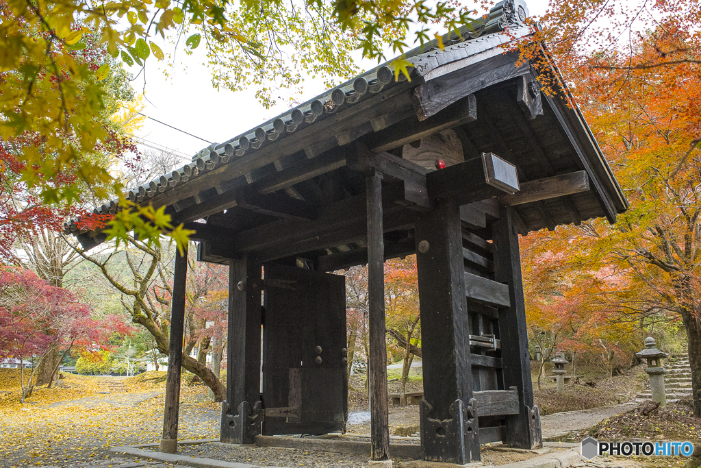 秋月城跡の紅葉８