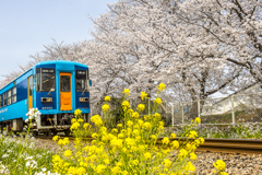 2025年 甘木鉄道 ３