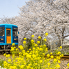 2025年 甘木鉄道 ３