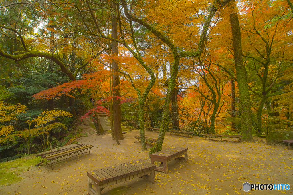 2025年 仁比山神社の紅葉 3