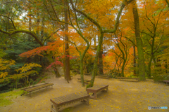 2025年 仁比山神社の紅葉 3