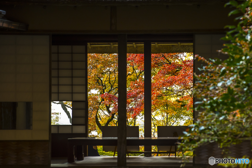 九年庵の紅葉５