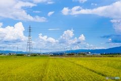 晩夏の甘木鉄道 １