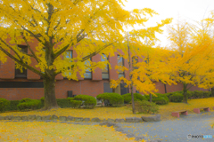 2025年 石橋文化センターの紅葉 1