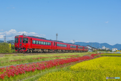 2025年 赤い久大本線 6