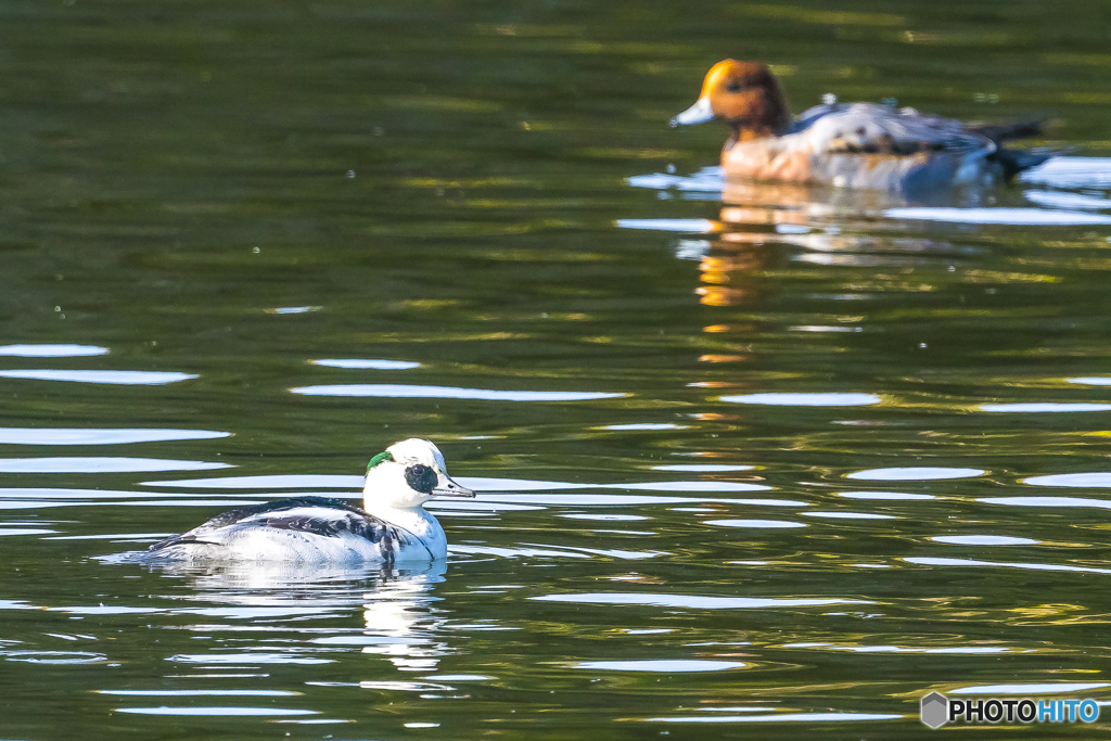 2025年　今年最後の投稿です 3