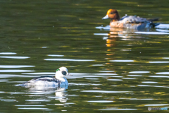 2025年　今年最後の投稿です 3