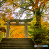 2024年 仁比山神社の紅葉 ９