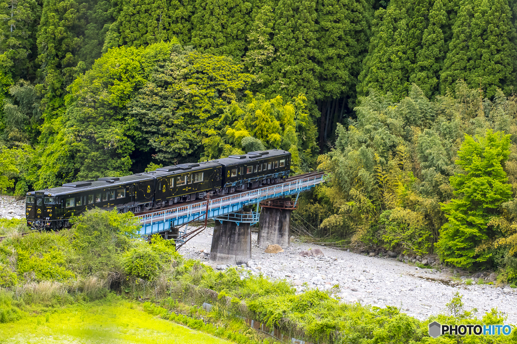 新緑の九大本線 ６