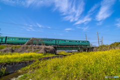 菜の花列車３